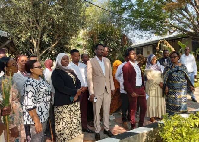Bulchiinsaa Magaalaa Adaamaatti buufataalee fayyaa Shan fakkeenya ta’an daawwataman.