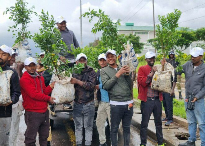 Magaalaa Adaamaa aanaa Irreechaatti duulli dhaabbii biqiltuu kutaalee hawaasaa fi hoggansaa hirmaachise gaggeeffame.