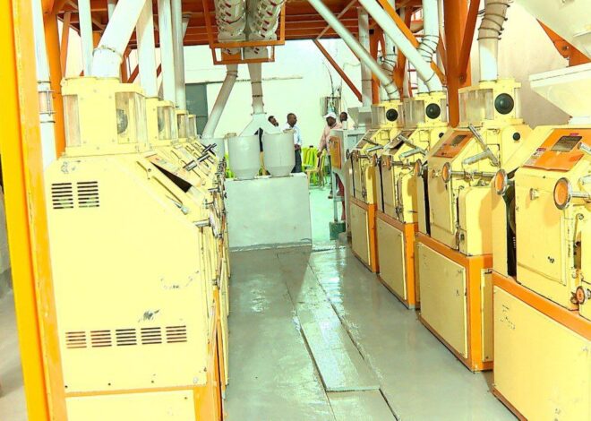 Industiriin godoo bu’uura ce’uumsa industirii ammayyaattif shoora olaanaa qabaa jedhame.