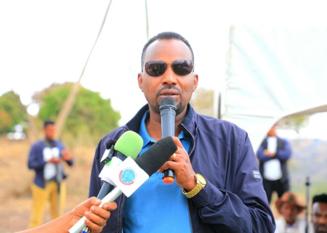 Dinagdeen qonnan bultoota humneessuuf mootummaan Xiyyeeffannoo kenne hojjechaa Jirachuu Kantibaan Bulchiinsa Magaalaa Adaamaa Obbo Hayiluu Jaldee dubbatan.